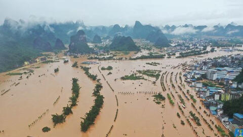 Thảm họa "Thiên nga đen" sẽ hiện hữu nếu chủ quan, xem nhẹ bảo vệ đê điều