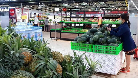 Giá gừng, khóm giảm sâu