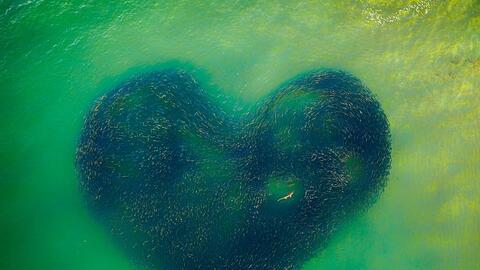 Mê mẩn những tác phẩm đoạt giải Drone Photo Awards 2020