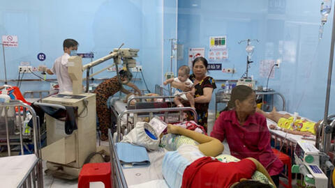 TP.HCM: Trong tuần qua ghi nhận ghi nhận 6 ổ dịch nhỏ sốt xuất huyết