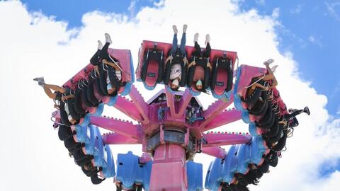 Bên trong Công viên Đại dương Hồng Kông vừa mở cửa trở lại