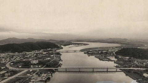 Đã dừng một cánh chim không mỏi