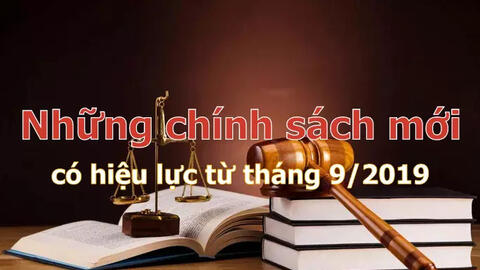 Những chính sách mới nổi bật có hiệu lực từ tháng 9/2019