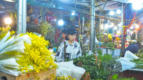 Cảnh nhộn nhịp ở chợ hoa lớn nhất Thủ đô trước ngày 8/3
