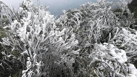 Rét đậm, rét hại có thể duy trì từ nay đến hết ngày 23/12