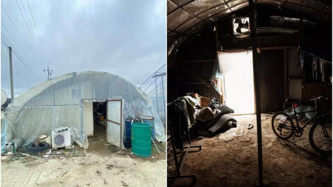 Góc khuất của người lao động nước ngoài tại Hàn Quốc: Sống tạm bợ trong nhà kính trồng cây, co ro chịu đựng thời tiết âm độ giá lạnh