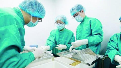 Vắc xin Covid-19 của Việt Nam sẽ được tiêm thử nghiệm trên người trong tháng 11 này