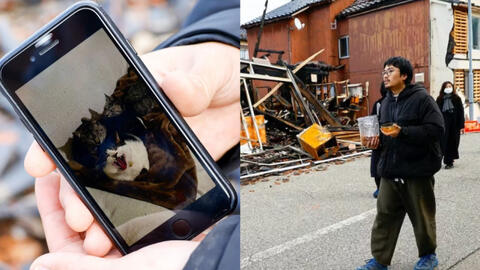 Giữa đống hoang tàn sau trận động đất, chàng nghệ nhân Nhật Bản tìm kiếm những chú mèo - chỗ dựa tinh thần của anh kể từ đại dịch