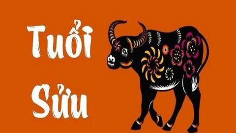 Tử vi các tháng năm 2022 tuổi Sửu: Vượng vận quý nhân giúp đỡ, có cơ hội đầu tư lớn