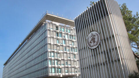 WHO đưa ra bằng chứng minh oan trước làn sóng chỉ trích của thế giới