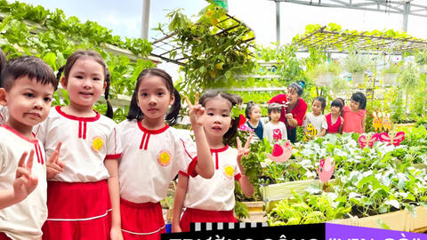 Mê mẩn vườn rau, khu vui chơi trên sân thượng của một trường mầm non công lập: Không gian xanh mướt, rau củ không thiếu gì