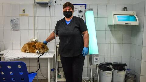 Những người chăm chỉ trong công việc, bất chấp COVID-19