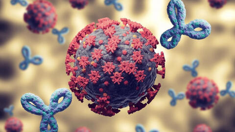 Người đã nhiễm Covid-19 trong 6 tháng được 'bảo vệ khá tốt' trước Omicron