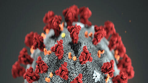 Chiếc vương miện bị chối từ