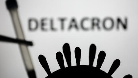 Biến thể mới kết hợp giữa biến thể Delta và Omicron có đáng sợ không?