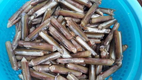 Giá thực phẩm ngày 20/7: Ốc móng tay 120.000 đồng/kg