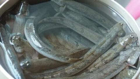 Giá thực phẩm ngày 9/6: Cá kèo 180.000 đồng/kg