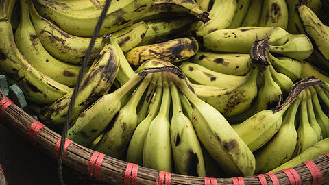 Chuối đồng và chuối vườn