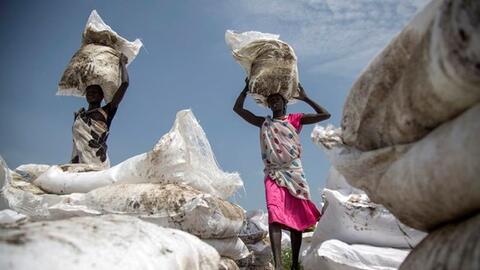 Các tổ chức quốc tế cảnh báo về khủng hoảng lương thực toàn cầu