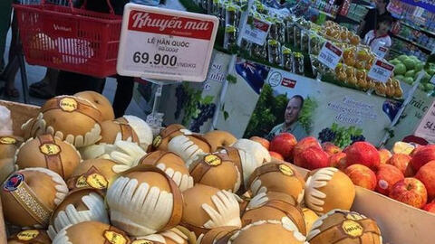 Xuất hiện nhiều loại trái cây giả thương hiệu Hàn Quốc