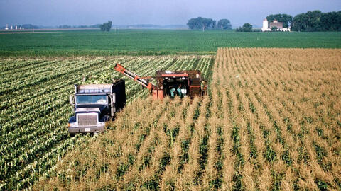 Trung Quốc tăng cường mua ngô của Mỹ khi căng thẳng Nga - Ukraina khiến nguồn cung gặp rủi ro