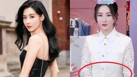 Trương Bá Chi đang mang thai con thứ 4, chi tiền khủng mua tinh trùng từ nhân vật có gen ưu việt?