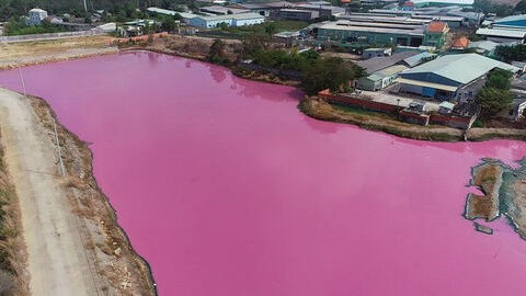 Doanh nghiệp xả thải vượt quy chuẩn ra đầm nước đổi màu tím ở Bà Rịa – Vũng Tàu