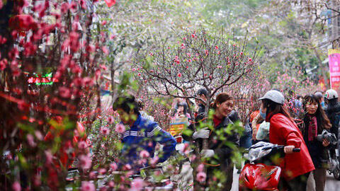 Tết Nguyên đán sẽ rét đậm, nhiệt độ trung bình 13 - 17 độ C?