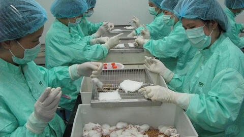 Vaccine Covid-19 ở Việt Nam dự kiến hoàn thành vào cuối năm 2021