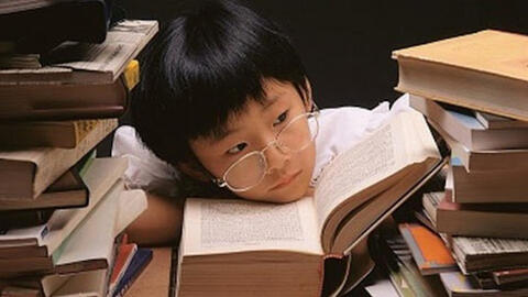Đừng dạy con học thuộc lòng, nữ Tiến sĩ nổi tiếng chỉ ra 1 cách học giúp những đứa trẻ trở nên giỏi giang thực sự