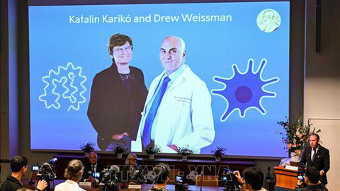 Giải Nobel Y sinh 2023 vinh danh hai nhà khoa học nghiên cứu vắc xin chống lại COVID-19