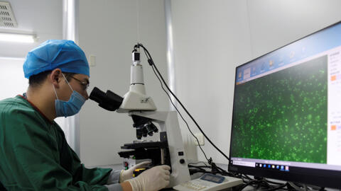 Mắc COVID-19 làm giảm 1/3 lượng tinh trùng ở nam giới