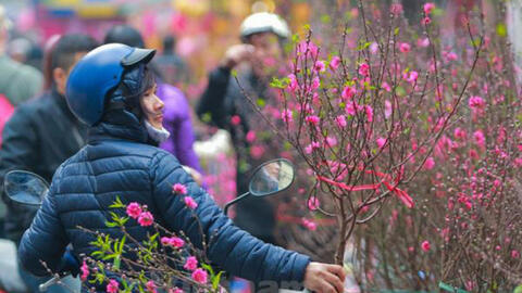 Mưa rét ở Bắc Bộ, nhiệt độ xuống 13 độ C