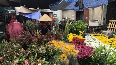 Thị trường ngày rằm tháng Giêng ổn định, rau củ giảm giá nhiều