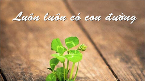 Tử vi hàng ngày 12/1/2020 của 12 con giáp: Thân tránh rủi ro tài chính, Dậu tự tin và chính trực