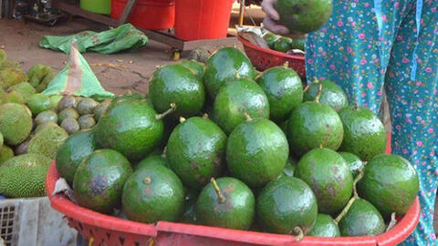Giá bơ booth và chanh dây "lao dốc"
