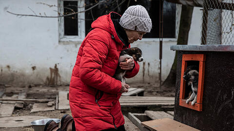 Người phụ nữ lập trạm cứu hộ, cứu hàng trăm động vật giữa chiến sự Ukraine