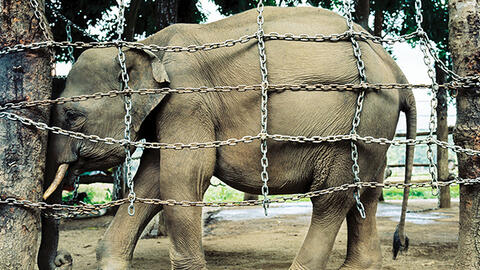 Nhiếp ảnh gia Trần Thái Khương: Tôi nghĩ, Jun nhớ mình!