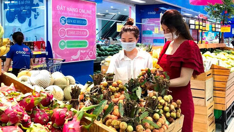 Trái cây rớt giá thảm, hàng chục tấn nhãn, chôm chôm, sầu riêng cần tiêu thụ