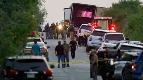 Vụ 51 thi thể trong xe container: nạn nhân bị rắc gia vị bít tết để tránh chó nghiệp vụ