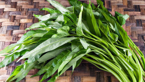 Khuyến cáo điều trị, phòng bệnh sán lá gan của Bộ Y tế: Nhiều loại rau tuyệt đối không ăn sống