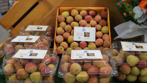 Vải tươi Việt được đấu giá lên tới 53 triệu đồng một kg ở Australia