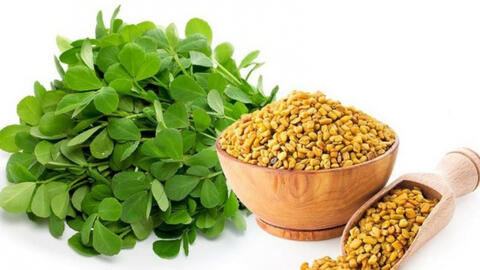 Cỏ cà ri ngừa lão hóa, trị tiểu đường và nhiều lợi ích khác