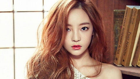 Tìm thấy ghi chép được nghi ngờ là di thư của Goo Hara
