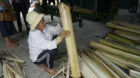 Làm giàu từ  thân cây chuối