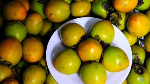 Mổ dạ dày sau khi ăn quả hồng ngâm