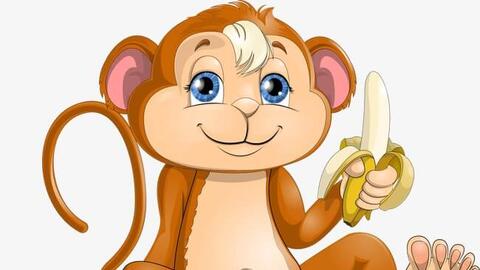 Tử vi năm 2020 tuổi Thân: Tháng 1 vận may tồi tệ, tháng 6 thành công tuyệt vời