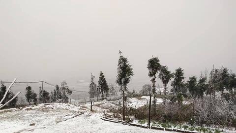 Ngắm tuyết rơi trắng xóa ở Y Tý, ngỡ lạc giữa châu Âu