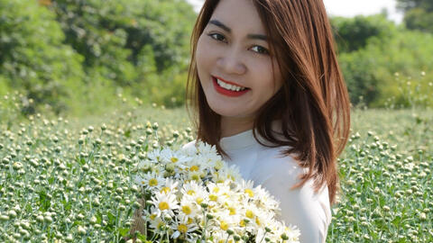 Cúc hoạ mi đầu mùa xuống phố