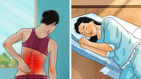 Tại sao người Nhật thích nằm ngủ trên sàn nhà và 5 lý do nên thử